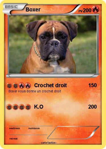 Pokemon Boxer