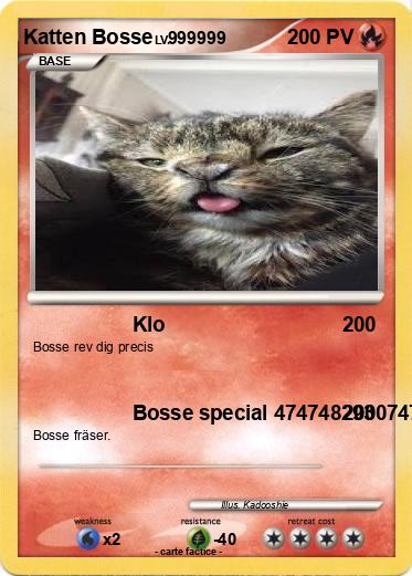 Pokemon Katten Bosse
