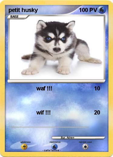 Pokemon petit husky