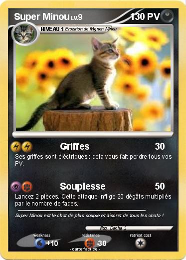 Pokemon Super Minou