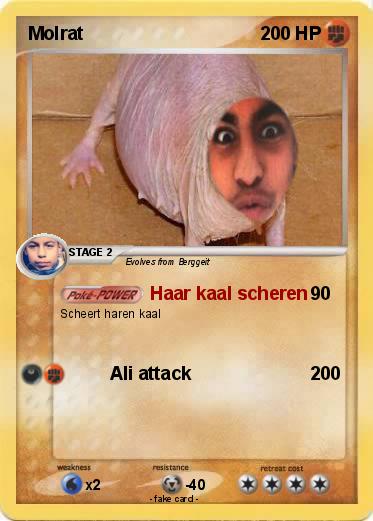 Pokemon Molrat