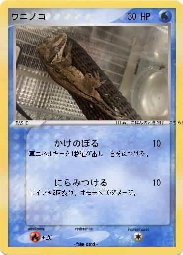 Pokemon ワニノコ