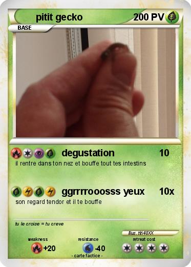 Pokemon pitit gecko