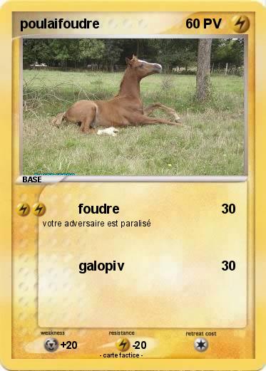 Pokemon poulaifoudre