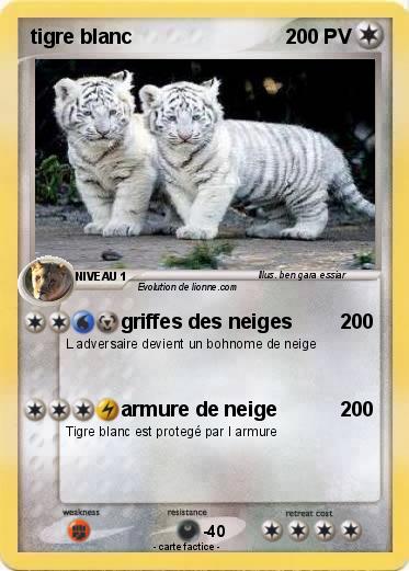 Pokemon tigre blanc