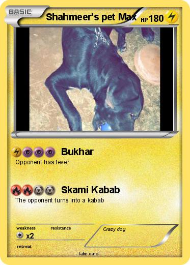 Pokemon Shahmeer's pet Max