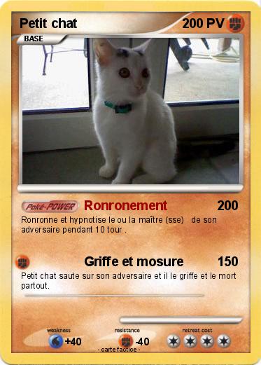 Pokemon Petit chat