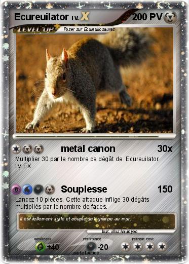 Pokemon Ecureuilator