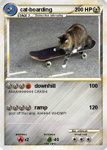 Pokemon cat-boarding