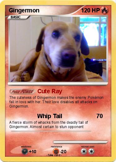 Pokemon Gingermon