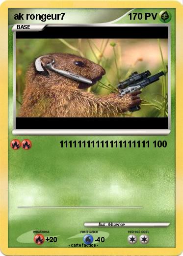 Pokemon ak rongeur7