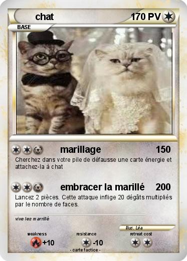 Pokemon chat