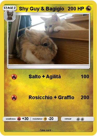 Pokemon Shy Guy & Bagigio