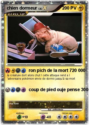 Pokemon chien dormeur