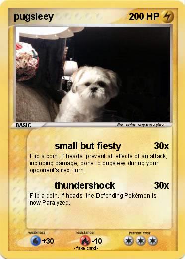 Pokemon pugsleey