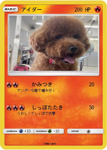 Pokemon アイダー