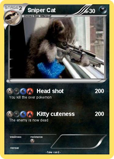 Pokemon Sniper Cat