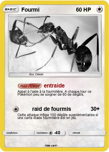 Pokemon Fourmi