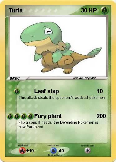 Pokemon Turta