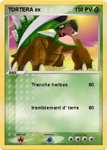 Pokemon TORTERA ex