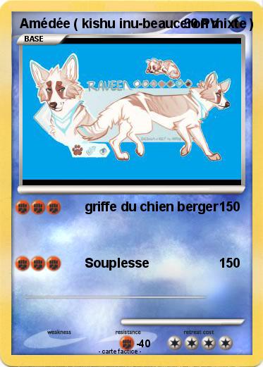 Pokemon Amédée ( kishu inu-beauceron mixte )
