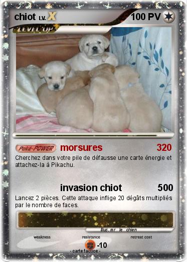 Pokemon chiot