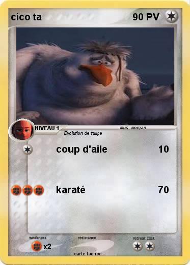 Pokemon cico ta