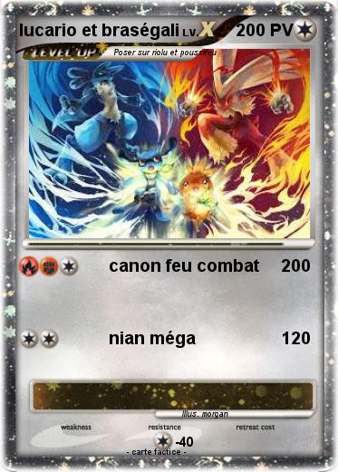 Pokemon lucario et braségali