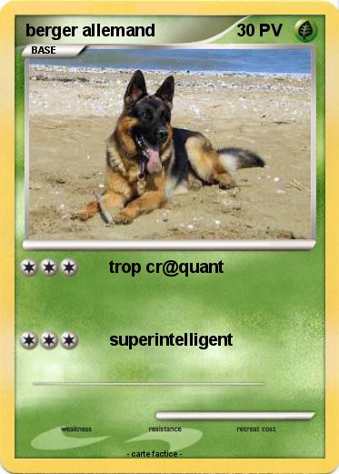 Pokemon berger allemand