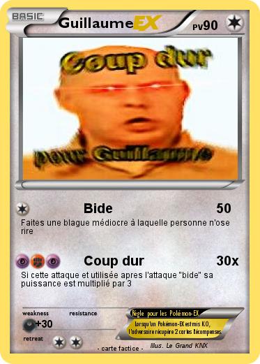 Pokemon Guillaume
