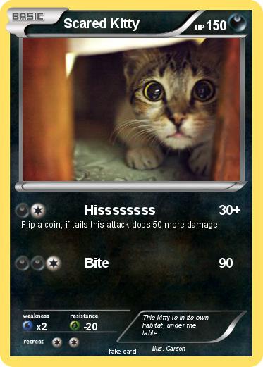 Pokemon Scared Kitty