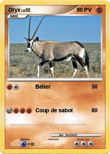 Pokemon Oryx