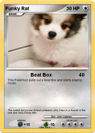 Pokemon Funky Rat