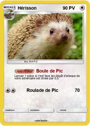 Pokemon Hérisson