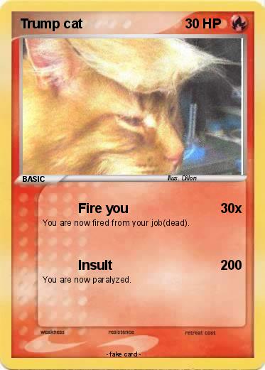 Pokemon Trump cat