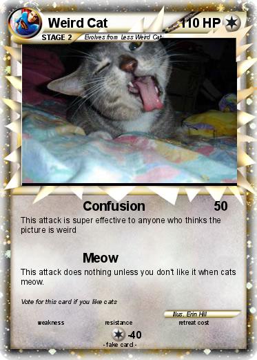 Pokemon Weird Cat