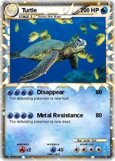 Pokemon Turtle