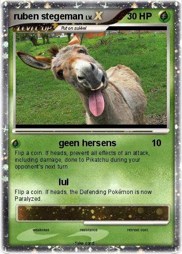 Pokemon ruben stegeman