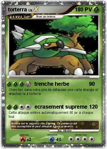 Pokemon torterra