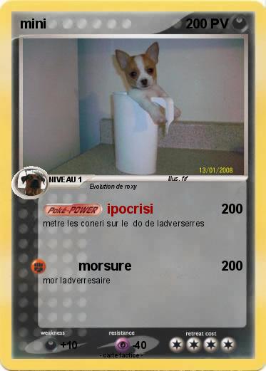Pokemon mini