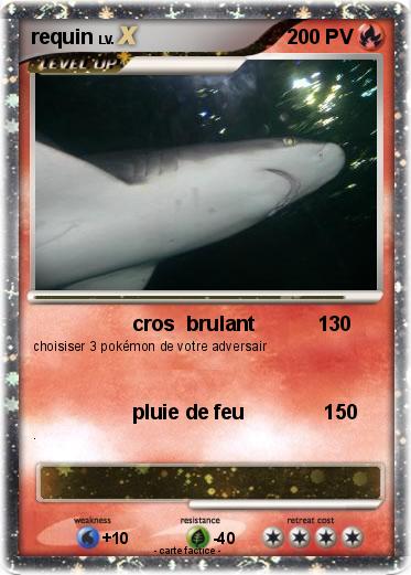 Pokemon requin