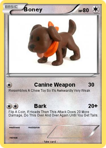 Pokemon Boney