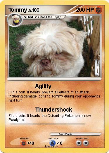Pokemon Tommy