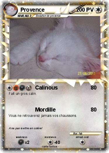 Pokemon Provence