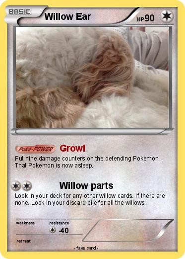 Pokemon Willow Ear