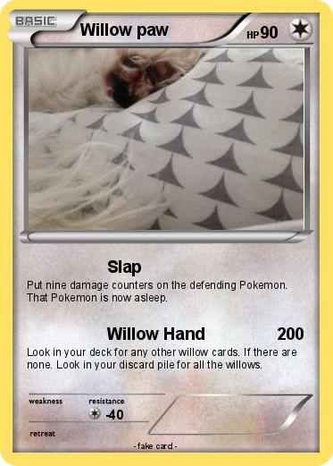Pokemon Willow paw