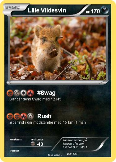 Pokemon Lille Vildesvin