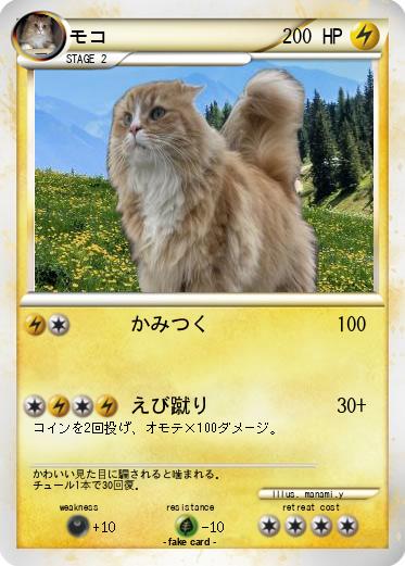 Pokemon モコ