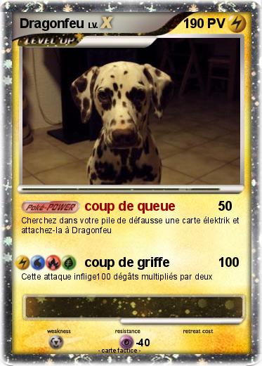 Pokemon Dragonfeu
