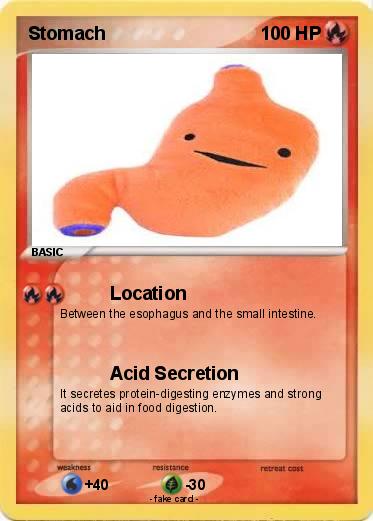 Pokemon Stomach